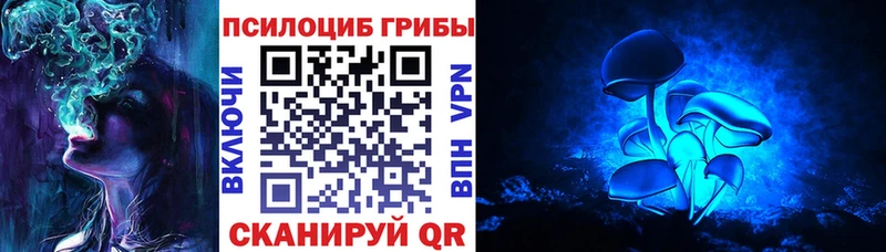 Псилоцибиновые грибы Magic Shrooms  нарко площадка состав  Апшеронск  как найти закладки 