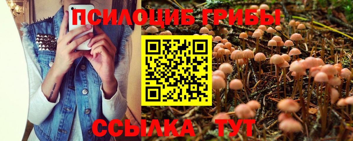 Псилоцибиновые грибы GOLDEN TEACHER Апшеронск